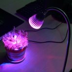 PROFI UV LED GROW lampa pre všetky rastliny, E27, 5W, ružovo-modrá